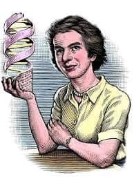 রোজালিন্ড ফ্রাংকলিন একজন ব্রিটিশ রসায়নবিদ, জীবপদার্থবিজ্ঞানী এবং রঞ্জনরশ্মি কেলাসবিজ্ঞানী পুরো নাম: রোজালিন্ড এল্জি ফ্রাঙ্কলিন (ইংরেজি: Rosalind Elsie Franklin জন্মঃ ২৫শে জুলাই, ১৯২০, লন্ডন