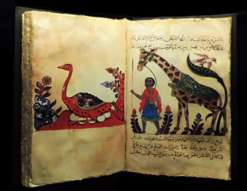 কিতাব-আল-হায়াওয়ান