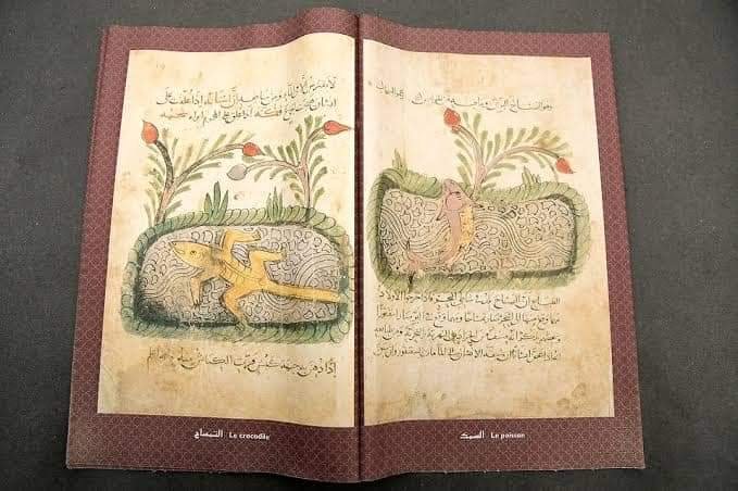 আল-জাহিজ সাতটি খণ্ডে দ্য বুক অফ অ্যানিমেলস বইটি লিখেছিলেন।