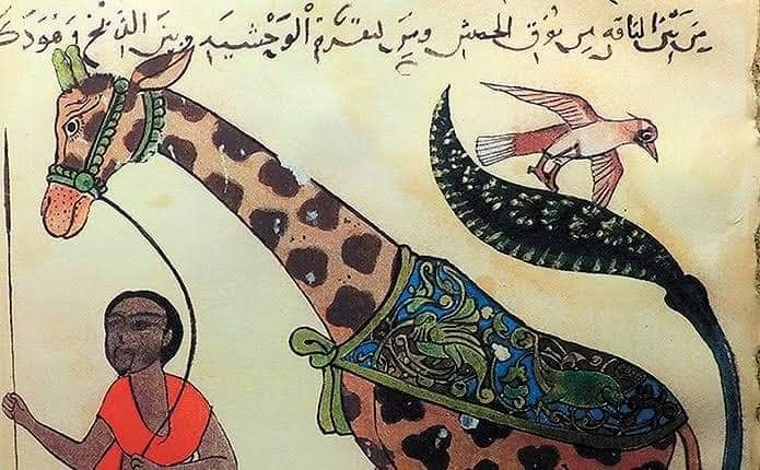 আল-জাহিজ সাতটি খণ্ডে দ্য বুক অফ অ্যানিমেলস বইটি লিখেছিলেন।