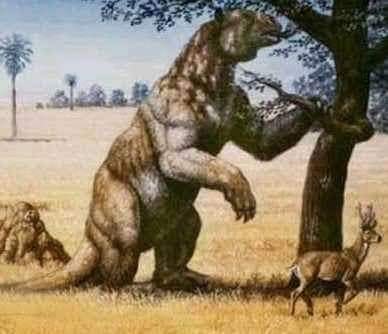 Giant Ground Sloth এর কাল্পনিক চিত্র