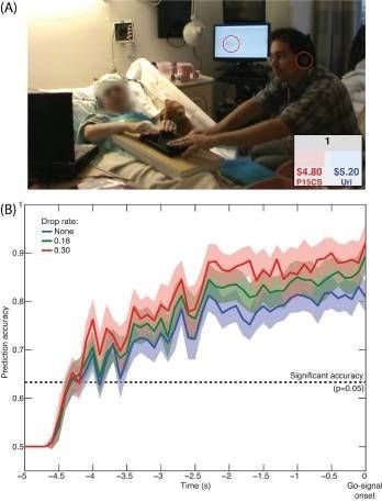 Fig: Across-subjects average of the prediction accuracy (mean ± s.e.m. shaded) versus time before the go signal. Values above the dashed horizontal line are significant at p = 0.05. 