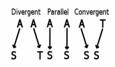 অপসারী বিবর্তন